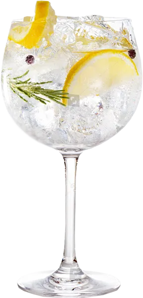 G!N TONIC